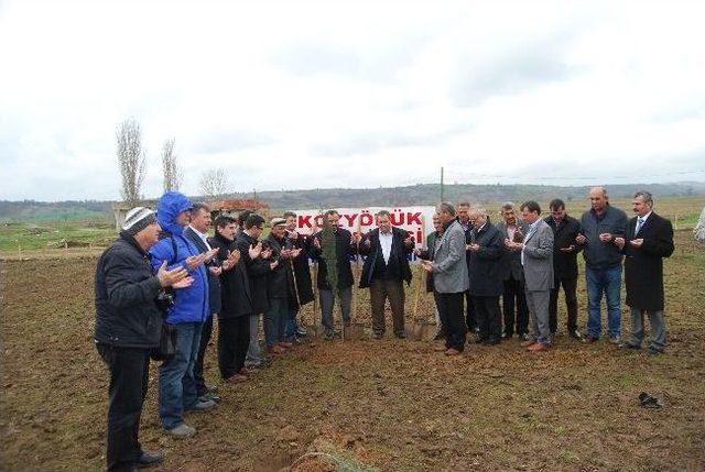 Kozyörük Belediyesi 200 Sedir Çamı Fidanı Dikti