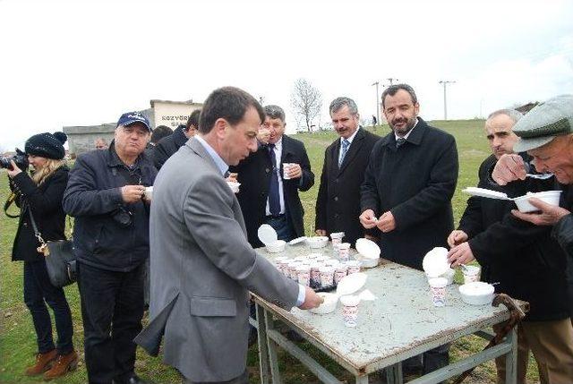 Kozyörük Belediyesi 200 Sedir Çamı Fidanı Dikti