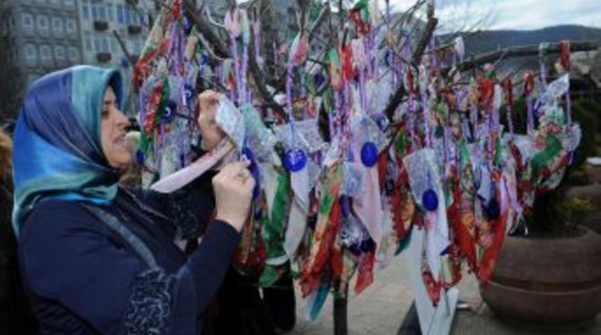 Kadınlar Isteklerini Dilek Ağacına Astı