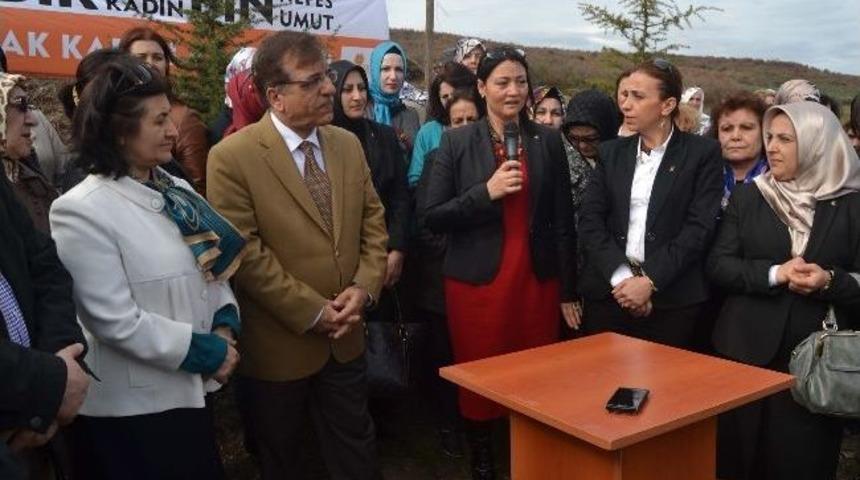 Ak Partili Kadınlar Fidan Dikti