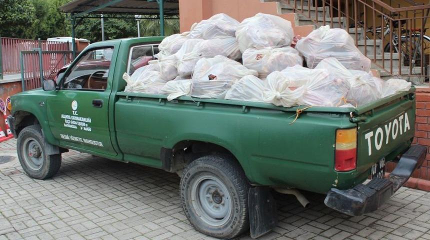 Alanya&rsquo;da 1 Ton Ka&ccedil;ak Et Ele Ge&ccedil;irildi