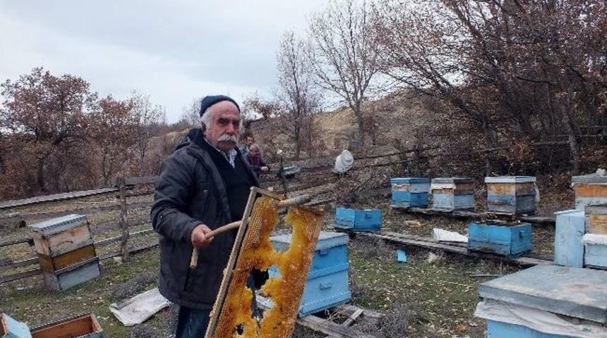 Koyulhisar&rsquo;da Arı Kovanları Par&ccedil;alandı