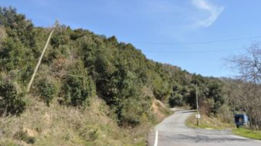 Yatık Elektrik direklerine bakan yok