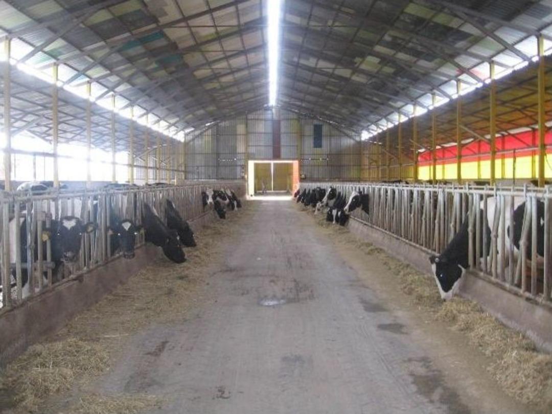 D&uuml;zce İl Tarım M&uuml;d&uuml;rl&uuml;ğ&uuml; Şubat Ayını Yoğun Ge&ccedil;irdi