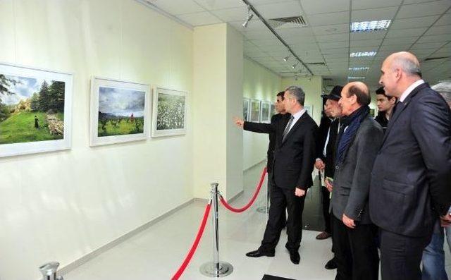 Tabiat Ana Fotoğraf Sergisi Beylikdüzü’nde