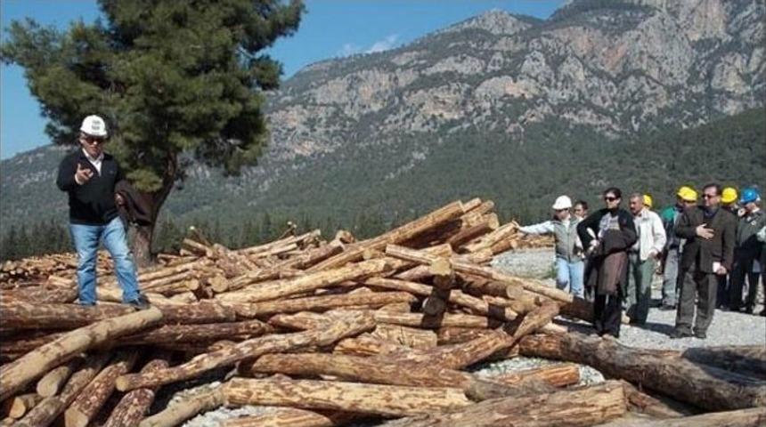 K&ouml;yceğiz&rsquo;de Standardizasyon Eğitimi