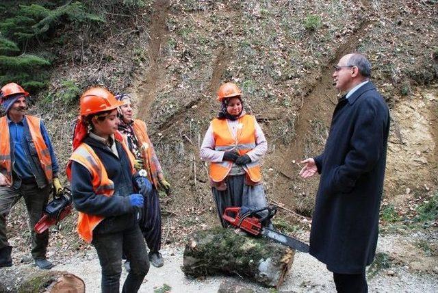 Bolu Valisi İbrahim Özçimen Yedigöller Yolunda İnceleme Yaptı