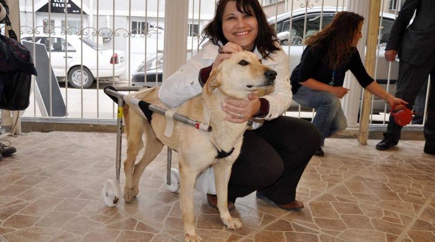 B&uuml;t&uuml;n &Ccedil;abalar Hoyrat Ve M&uuml;d&uuml;r Yeniden Y&uuml;r&uuml;s&uuml;n Diye