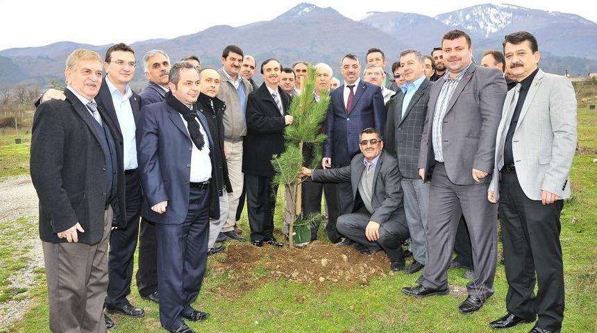Yıldırım Belediyesi, Tarihi Hamamlıkızık&rsquo;a Fidan Dikti