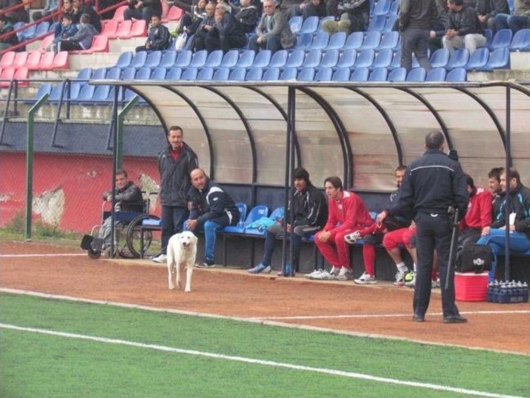 &Ouml;demiş Belediyespor, Şampiyonluğunu İlan Etti