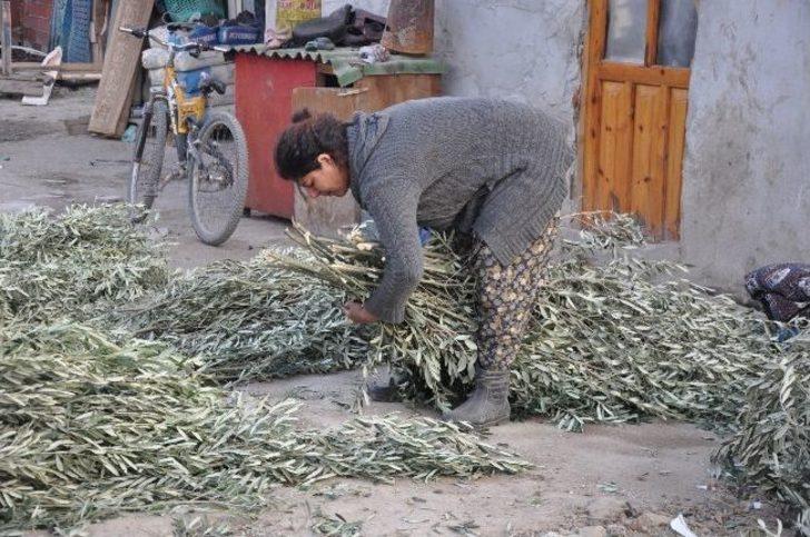 Yangınzede Romanlara Yardım G4