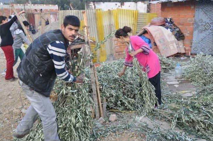 Yangınzede Romanlara Yardım G5