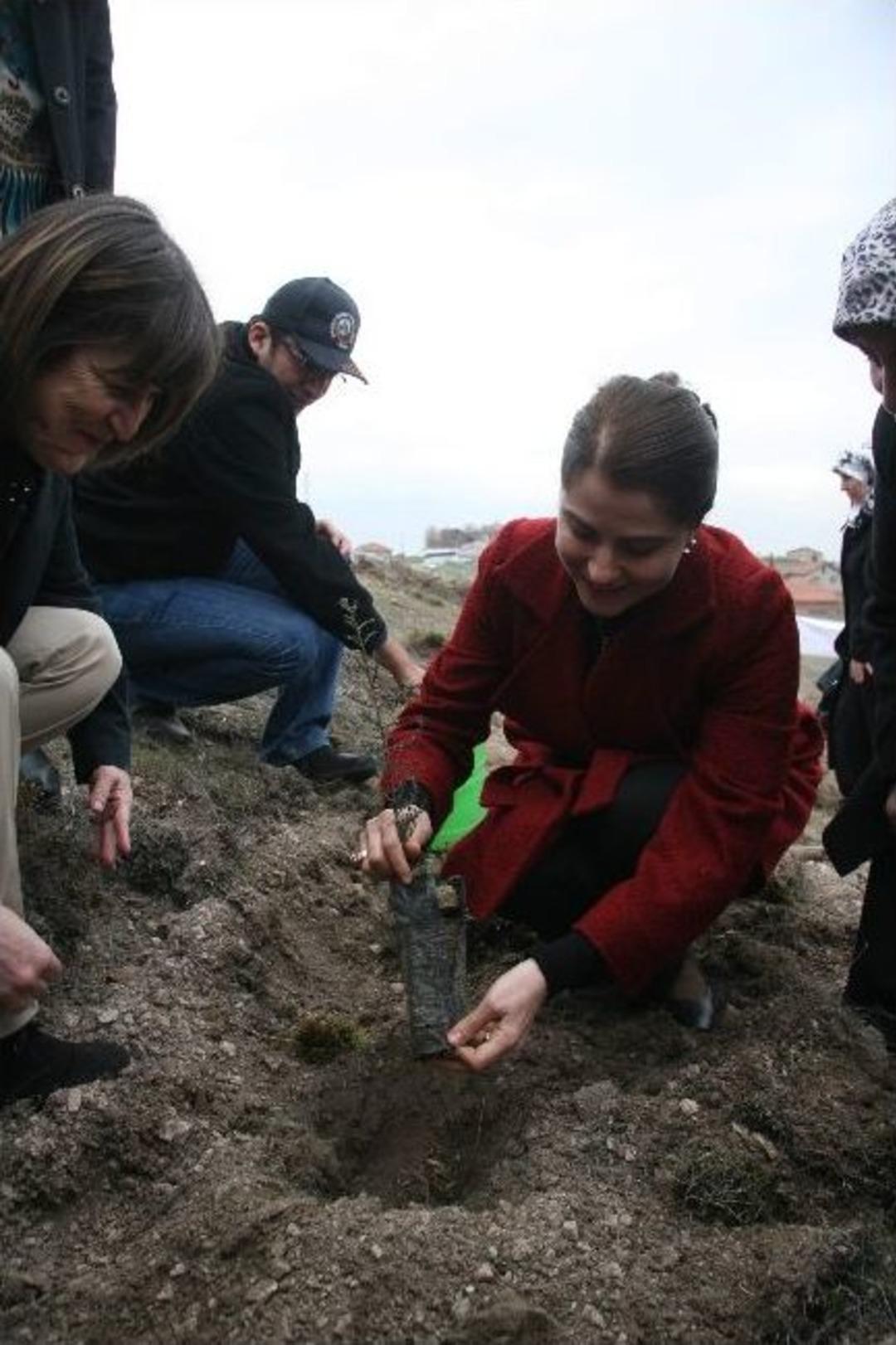 Karab&uuml;k&rsquo;te Kadınlar Fidan Dikti