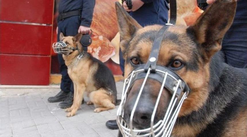 Babi Ve Biber'in G&ouml;revi Toplumsal Olaylar