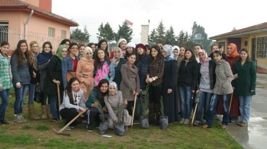 Ablalar Miniklerin Okulunu Ağa&ccedil;landırdı