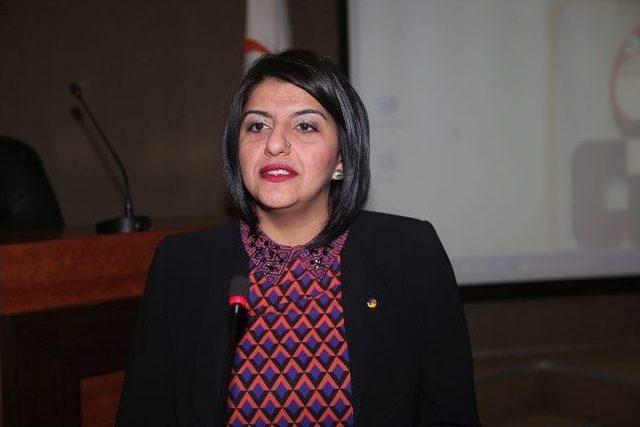"toplumsal Cinsiyet Eşitliği Ve Avrupa Birliği" Konferansı 2