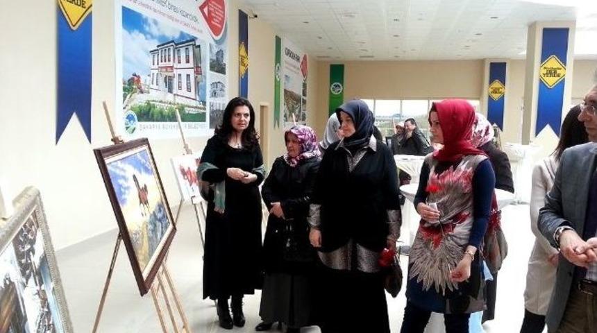 Samek Sayıları Artacak