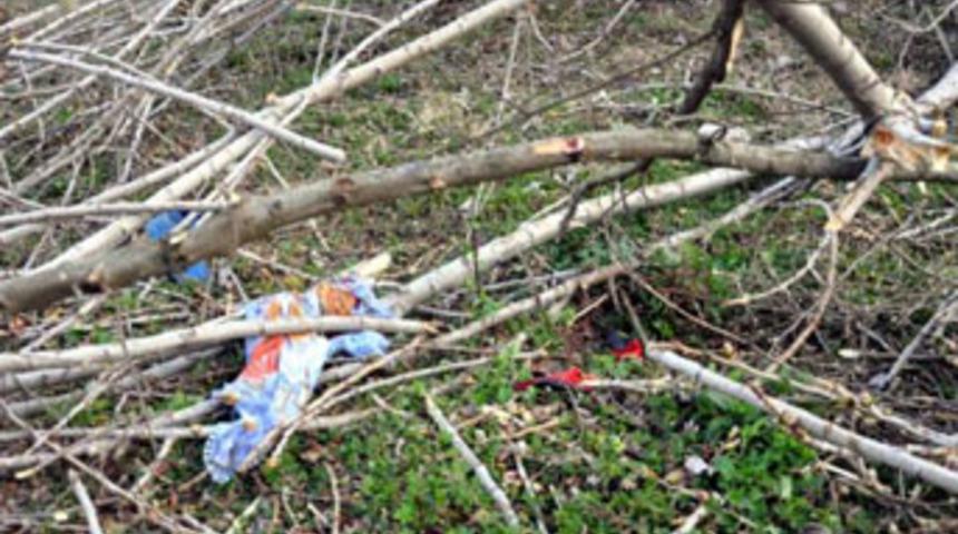 Kesilen ağacın altında kaldı