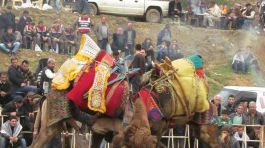 Chp Milletvekili Birg&uuml;l Ayman G&uuml;ler&rsquo;e &Ouml;demiş'teki Deve G&uuml;reşlerinde Sevgi Seli