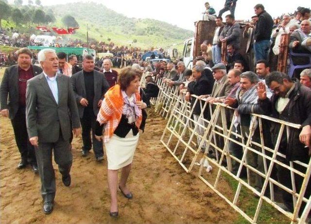 Chp Milletvekili Birgül Ayman Güler’e Ödemiş'teki Deve Güreşlerinde Sevgi Seli