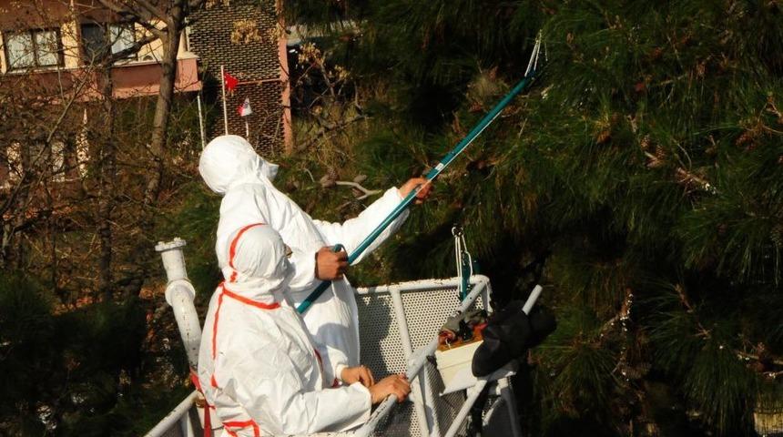 İzmir B&uuml;y&uuml;kşehir &Ccedil;amkese M&uuml;cadelesi Başlattı