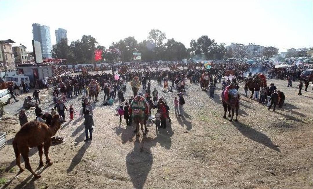 Bayraklı&rsquo;da Deve G&uuml;reşleri Nefes Kesti