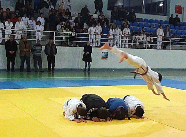 Tatvan’da Judo Turnuvası Düzenlendi