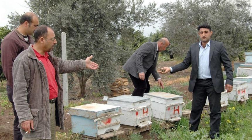 Tarsus&rsquo;ta Tarım Ila&ccedil;larının Milyonlarca Arıyı &Ouml;ld&uuml;rd&uuml;ğ&uuml; Iddia Edildi