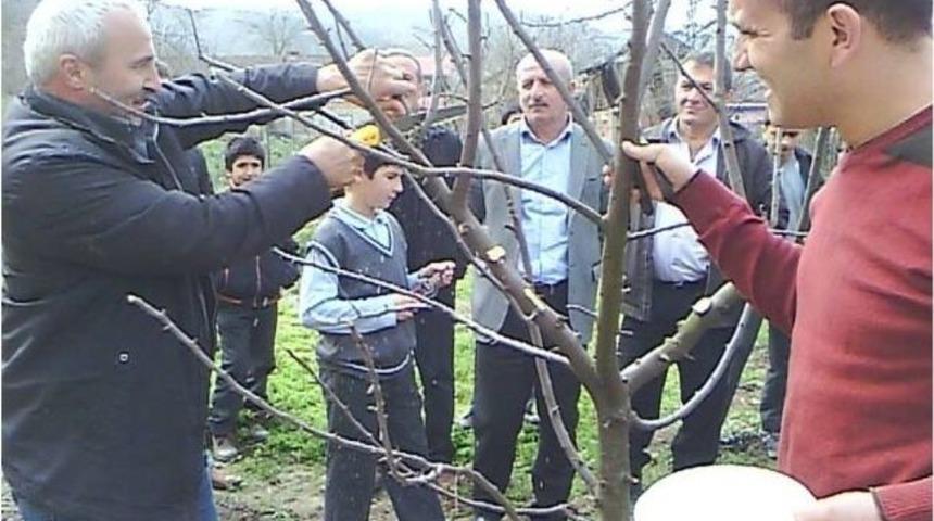 &Ccedil;ift&ccedil;ilere Budama Eğitimi Verildi