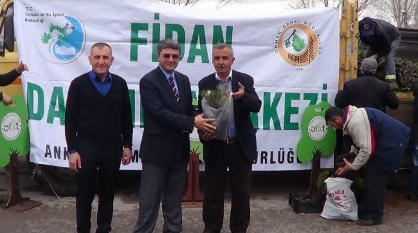 G&ouml;lbaşı'nda 9 Bin 500 Adet &Ccedil;am Fidanı Dağıtıldı