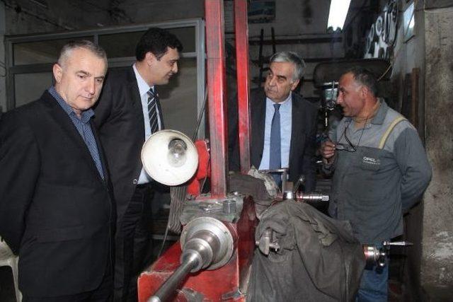 Tire’de Karınca Modeli Çalışma