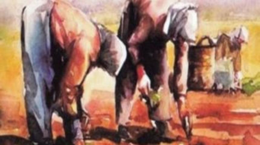 Kadın &Ccedil;ift&ccedil;iler Bilgilerini Yarıştıracak