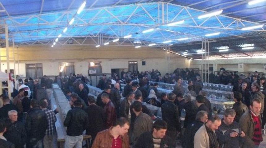 Festival Ziyaretçi Akınına Uğradı