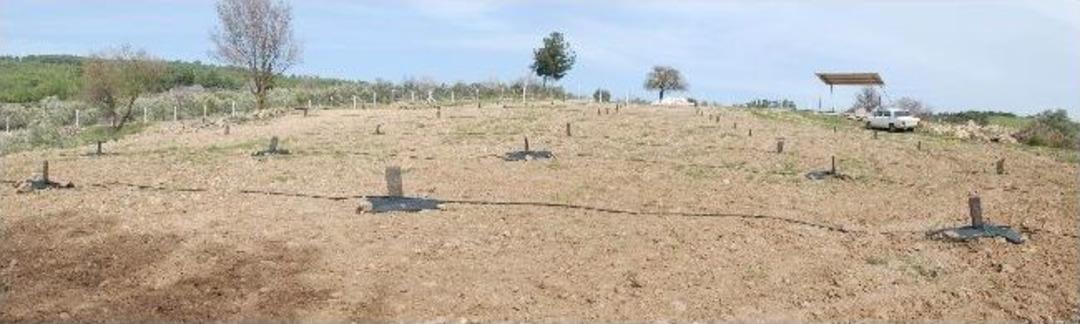 Siyah Elmasa G&ouml;rkemli Tanıtım