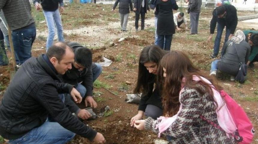 &Uuml;niversitesi &Ouml;ğrencilerinden Konteyner Kentte Ağa&ccedil;landırma &Ccedil;alışması