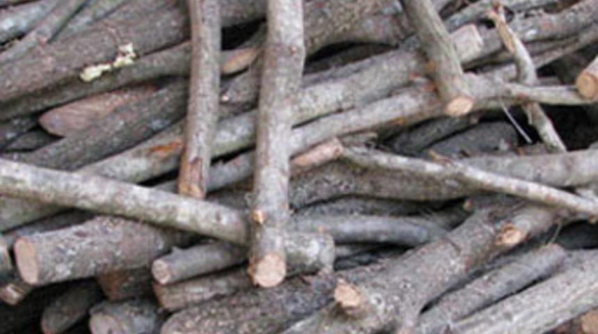 Başına odunla vurup 'Pardon benzetmişim' dedi