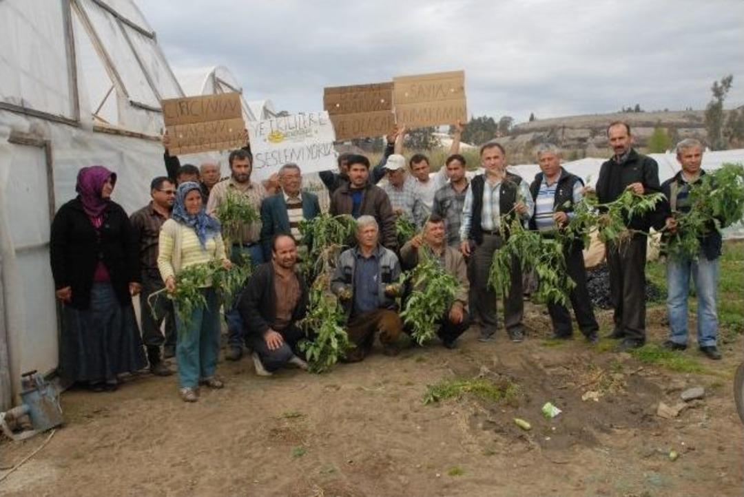 Serada &Ccedil;ift&ccedil;i Eylemi