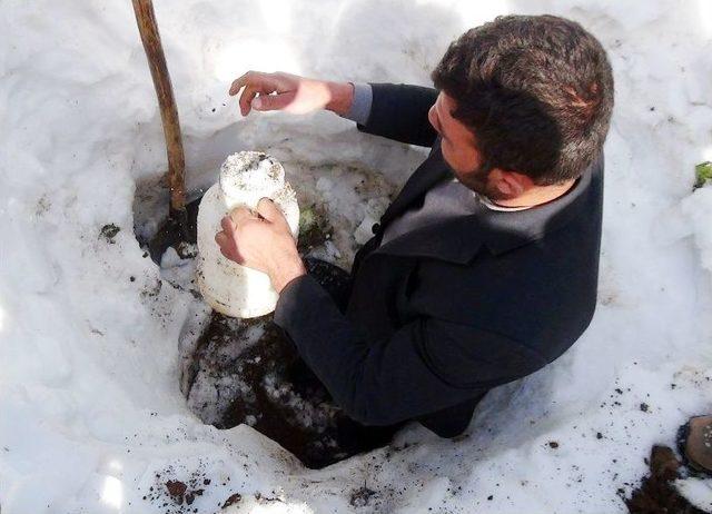 Köylüler Kazma Kürek Kuşandı, Kar Altında Peynir Arıyor