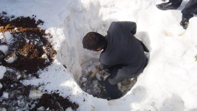 Köylüler Kazma Kürek Kuşandı, Kar Altında Peynir Arıyor