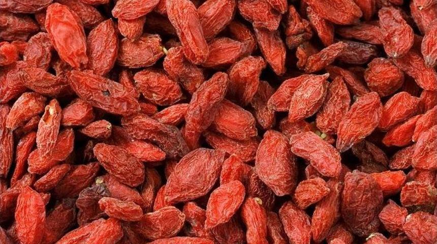 Doğu Asya Bitkisi Gojiberry &Ccedil;ankaya'da Da Yetişecek