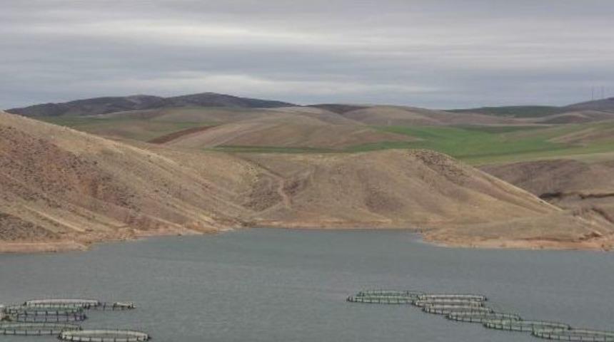 Kafesler Yırtıldı, Alabalıklar Ka&ccedil;tı