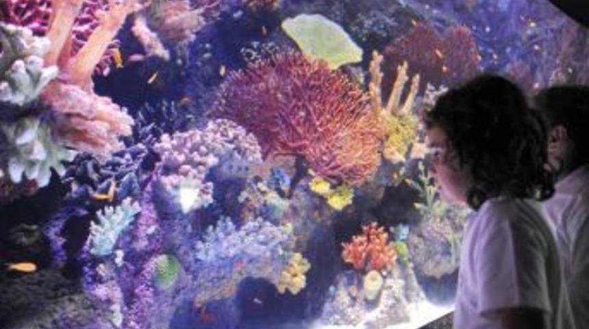 Uşak'ta Dev Akvaryum Yapılacak