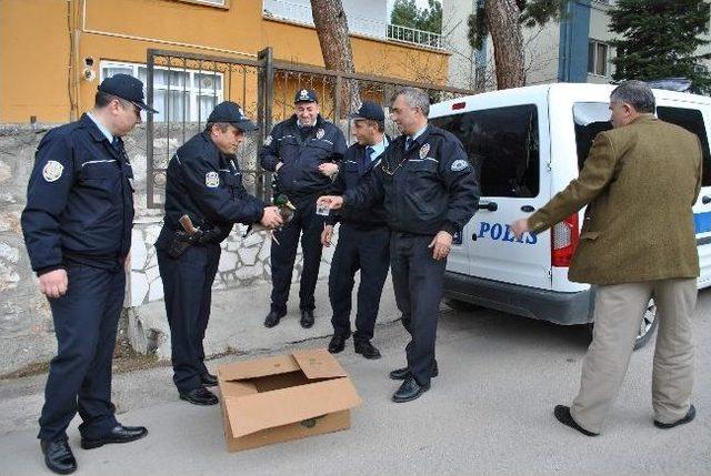 Yaralı Ördeğe Polis Şefkati