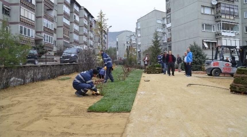 Belediyeden Yeşillendirme &Ccedil;alışması