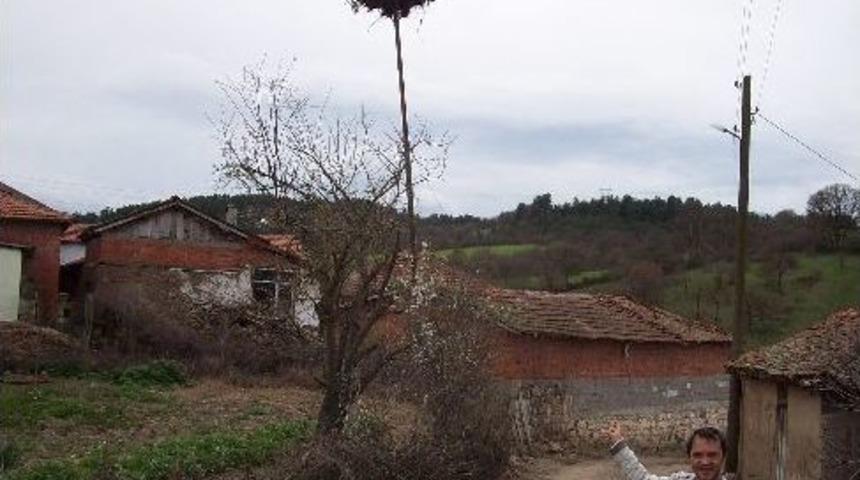 &Ccedil;an&rsquo;a İlk Leylekler Geldi