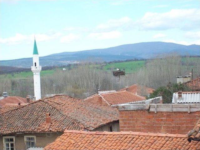 Çan’a İlk Leylekler Geldi