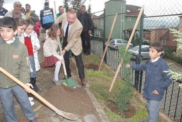 İzmit Belediyesi Ağaçlandırıyor