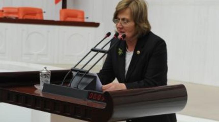 Chp Balıkesir Milletvekili Nedret Akova: