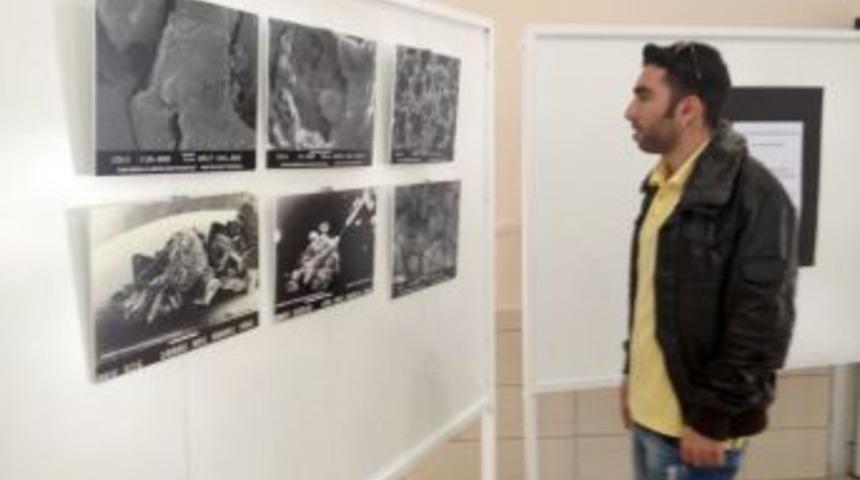 Mikroskopla Çekilen Görüntülerden Sergi Açıldı