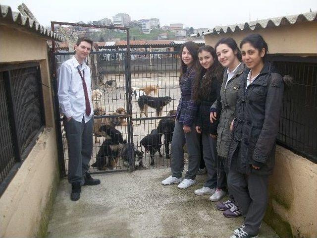 Öğrencilerden Hayvan Bakım Evine Ziyaret